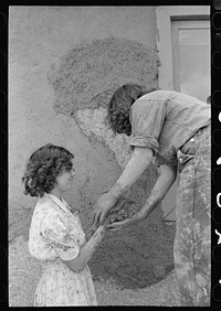Spanish-American women plastering an adobe house, Chamisal, New Mexico by Russell Lee