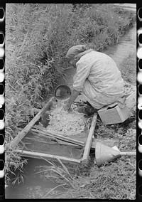 Spanish-American woman washing wool in irrigation ditch, Chamisal, New Mexico. Raw wool is used to stuff matresses by Russell Lee