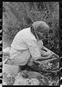Old Spanish-American woman washing wool in irrigation ditch, Chamisal, New Mexico by Russell Lee