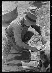 [Untitled photo, possibly related to: Spanish-American farmer scraping hair from slaughtered hog. Chamisal, New Mexico] by Russell Lee