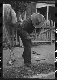 [Untitled photo, possibly related to: Mormon farmer shoeing a horse, Santa Clara, Utah] by Russell Lee