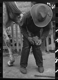 Mormon farmer shoeing a horse, Santa Clara, Utah by Russell Lee