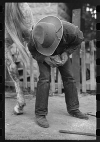 [Untitled photo, possibly related to: Mormon farmer shoeing a horse, Santa Clara, Utah] by Russell Lee