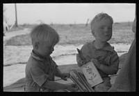 [Untitled photo, possibly related to: Child of farmer living on Vale-Owyhee irrigation project at Malheur County, Oregon] by Russell Lee