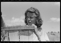 Pea picker. Nampa, Idaho by Russell Lee