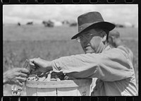 Pea pickers bring in hampers of peas. Nampa, Idaho. by Russell Lee