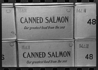 Cases of canned salmon in warehouse at Astoria, Oregon by Russell Lee