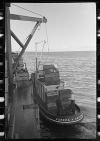 [Untitled photo, possibly related to: Putting empty boxes aboard fishing boat that is heading for the fishing grounds, Astoria, Oregon] by Russell Lee