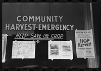 Sign at office of Community Harvest Emergency committee, Yakima, Washington by Russell Lee