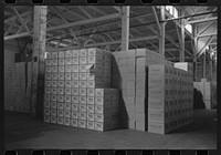 Cases of canned salmon in warehouse, Astoria, Oregon by Russell Lee