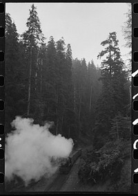 [Untitled photo, possibly related to: The "crummies" in which the lumberjacks ride to woods operations from Ryderwood. Long Bell Lumber Company, Cowlitz County, Washington] by Russell Lee