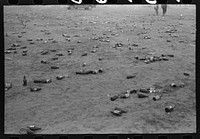 Empty beer bottles after celebration party at the Umatilla Ordnance Depot. Hermiston, Oregon by Russell Lee