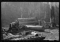 [Untitled photo, possibly related to: Loading logs onto truck with cables from donkey engine, Tillamook County, Oregon] by Russell Lee