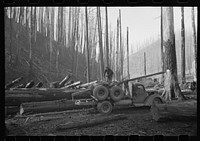 Truck and trailer used for hauling logs, Tillamook County, Oregon by Russell Lee