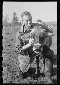 FSA (Farm Security Administration) rehabilitation borrower who is a dairy farmer with one of his cows, Tillamook County, Oregon by Russell Lee