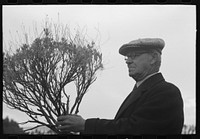 [Untitled photo, possibly related to: Dr. William B. McCallum, manager of the International Rubber Company of California (growers and producers of guayule rubber) with guayule plant, Salinas, California] by Russell Lee