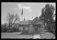 [Untitled photo, possibly related to: Justice of the Peace, Salome, Arizona] by Russell Lee