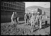 Workmen using viberators which spread the wet concrete in construction of Shasta Dam, Shasta County, California by Russell Lee