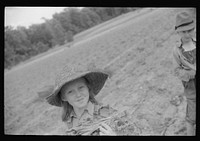[Untitled photo, possibly related to: Little boy with tobacco plants during the planting season near Chapel Hill, North Carolina]. Sourced from the Library of Congress.