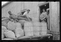 [Untitled photo, possibly related to: Migratory agricultural workers at a grading station at Belcross, North Carolina]. Sourced from the Library of Congress.