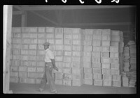 Inside the Webster Canning Company, Cheriton, Virginia. The boxes are made here for packing canned goods. Sourced from the Library of Congress.