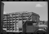 [Untitled photo, possibly related to: A truckload of chickens at a truck service station on U.S. 1 (New York Avenue) Washington, D.C.]. Sourced from the Library of Congress.