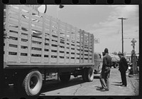 [Untitled photo, possibly related to: A truckload of chickens at a truck service station on U.S. 1 (New York Avenue) Washington, D.C.]. Sourced from the Library of Congress.