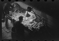 [Untitled photo, possibly related to: Grading potatoes at the Woodman Potato Company, one of the largest in Caribou, Maine]. Sourced from the Library of Congress.