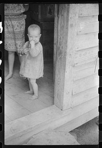 [Untitled photo, possibly related to: Youngest child of William Corneal, farmer who must move out of the area being taken over by the army for maneuver grounds in Caroline County, Virginia]. Sourced from the Library of Congress.