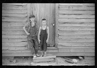 Children of William Corneal, farmer who must move out of the area being taken over by the army for maneuver grounds in Caroline County, Virginia. Sourced from the Library of Congress.