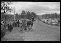 [Untitled photo, possibly related to: At the finish line of the sulky races at the Rutland Fair, Vermont]. Sourced from the Library of Congress.