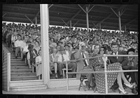 Spectators at the sulky races at the Rutland Fair, Vermont. Sourced from the Library of Congress.