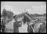 [Untitled photo, possibly related to: Sulky racing at the Rutland Fair, Rutland, Vermont]. Sourced from the Library of Congress.