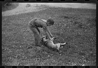 One of the Gaynor children playing with his dog on the Gaynor farm near Fairfield, Vermont. Sourced from the Library of Congress.