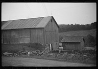 [Untitled photo, possibly related to: Cows going into the barn early in the morning on the farm of William Gaynor, FSA (Farm Security Administration) dairy farmer, Fairfield, Vermont]. Sourced from the Library of Congress.