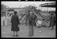 [Untitled photo, possibly related to: At a "rodeo" show at the fair in Rutland, Vermont]. Sourced from the Library of Congress.