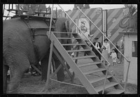 [Untitled photo, possibly related to: At a "rodeo" show at the fair in Rutland, Vermont]. Sourced from the Library of Congress.