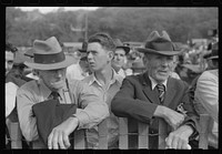 [Untitled photo, possibly related to: Watching the weight-pulling contest at the "World's Fair" in Tunbridge, Vermont]. Sourced from the Library of Congress.