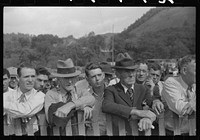 [Untitled photo, possibly related to: Watching the weight-pulling contest at the "World's Fair" in Tunbridge, Vermont]. Sourced from the Library of Congress.
