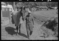 [Untitled photo, possibly related to: At the stables by the sulky racetrack at the "World's Fair" in Tunbridge, Vermont]. Sourced from the Library of Congress.