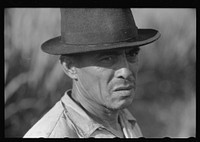 [Untitled photo, possibly related to: FSA (Farm Security Administration) tenant purchase borrower near Barranquitas, Puerto Rico]. Sourced from the Library of Congress.