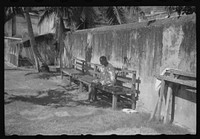 [Untitled photo, possibly related to: Charlotte Amalie, St. Thomas Island, Virgin Islands. An inmate of the insane asylum at the hospital]. Sourced from the Library of Congress.