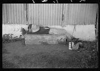 Sugar worker taking his siesta on a plantation near Guanica, Puerto Rico. Sourced from the Library of Congress.