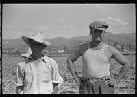 [Untitled photo, possibly related to: Farm laborer working in the sugar fields near Yauco, Puerto Rico]. Sourced from the Library of Congress.