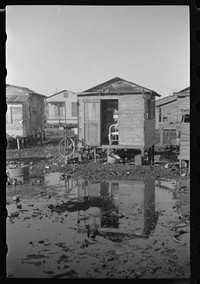 [Untitled photo, possibly related to: San Juan, Puerto Rico. Children in the slum area known as El Fangitto]. Sourced from the Library of Congress.