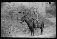 [Untitled photo, possibly related to: Old miner on donkey, still quite a common means of transportation, in county road near Mohegan, West Virginia]. Sourced from the Library of Congress.