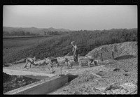 [Untitled photo, possibly related to: Homesteaders' children playing in pile of sand, Tygart Valley, West Virginia]. Sourced from the Library of Congress.