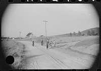 [Untitled photo, possibly related to: Children of homesteaders getting potatoes out of community garden, Tygart Valley, West Virginia]. Sourced from the Library of Congress.