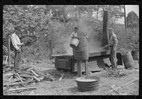 Boiling juice of sugarcane into sorghum molasses. Racine, West Virginia. Sourced from the Library of Congress.