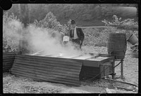 [Untitled photo, possibly related to: Racine, West Virginia. Making molasses is hot work]. Sourced from the Library of Congress.